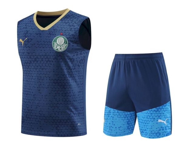 Palmeiras 2024/25 Adult Tank Top+Short 418