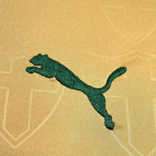 Palmeiras 2024/25 Third Jersey - Image 6