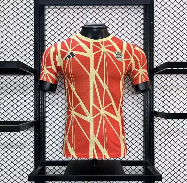 Bayern Munich 2024/25 Special Edition Jersey Player Version