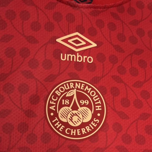 Afc Bournemouth 2024/25 Red Special Edition Jersey - Image 3
