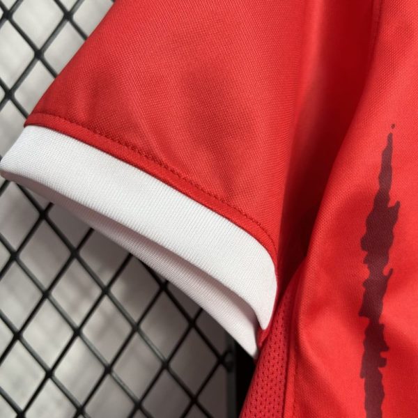 Sc Freiburg 2024/25 Home Jersey - Image 7