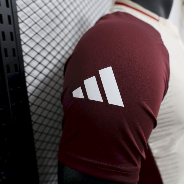 Bayern Munich 2024/25 Training Uniform Special Edition Jersey Player Version - Image 8