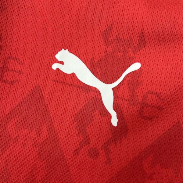 Club Atlético Independiente 2025/26 Home Jersey - Image 13