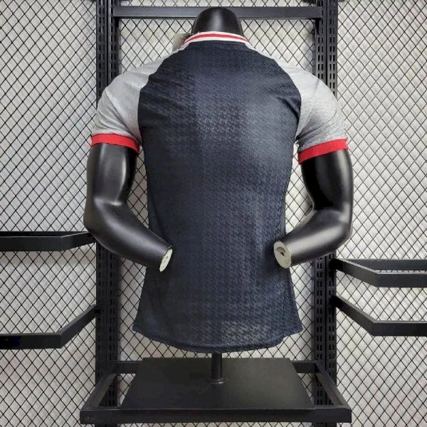 Japan 2024/25 Special Edition Jersey Player Version - Image 2