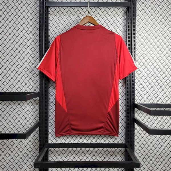 S.c Internacional 2024/25 Pre-Match Jersey - Image 2