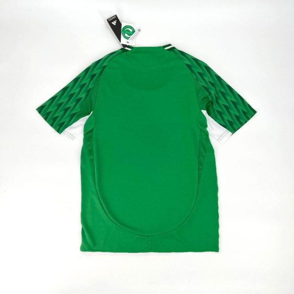 Palmeiras 2024/25 Special Edition Green Jersey Player Version - Image 2