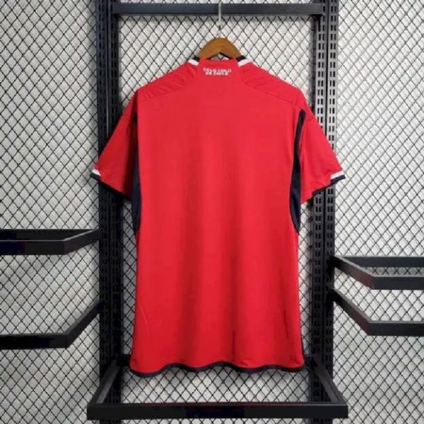 Colo Colo 2023/24 Away Jersey - Image 10